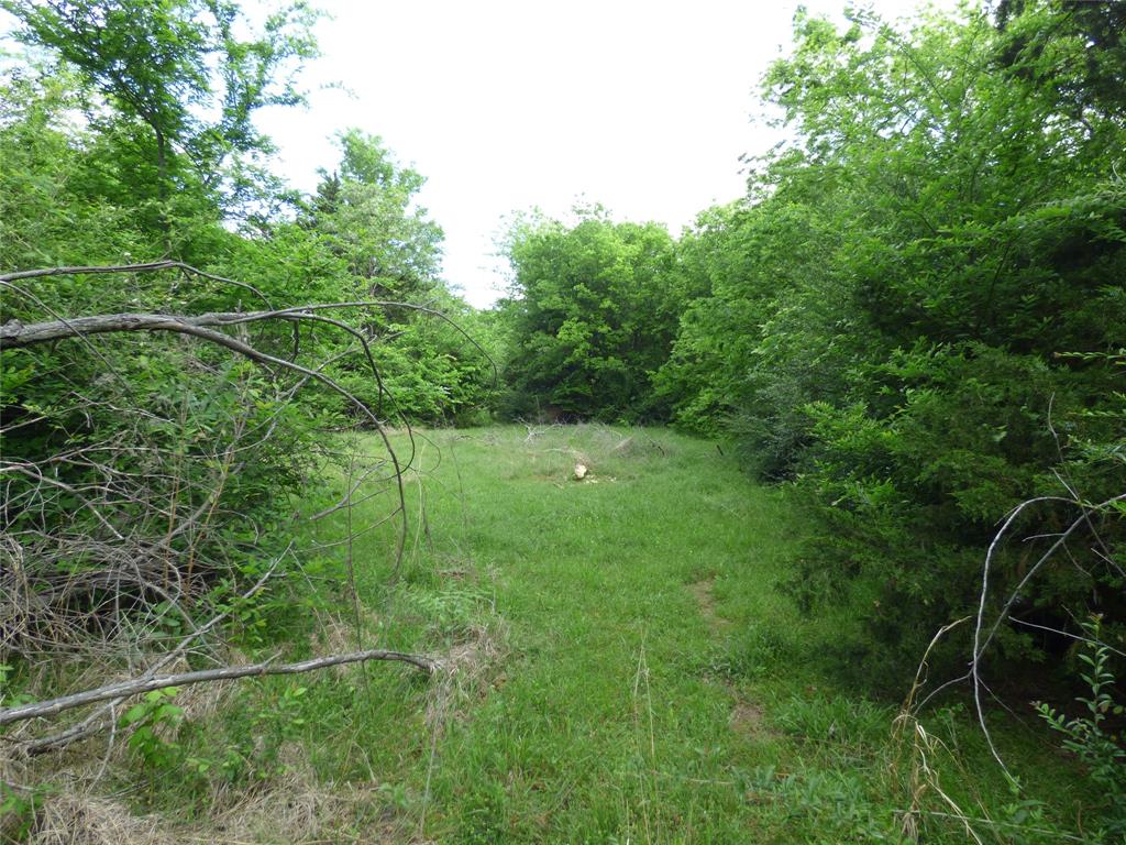 511 W Pecan Street Property Photo 11