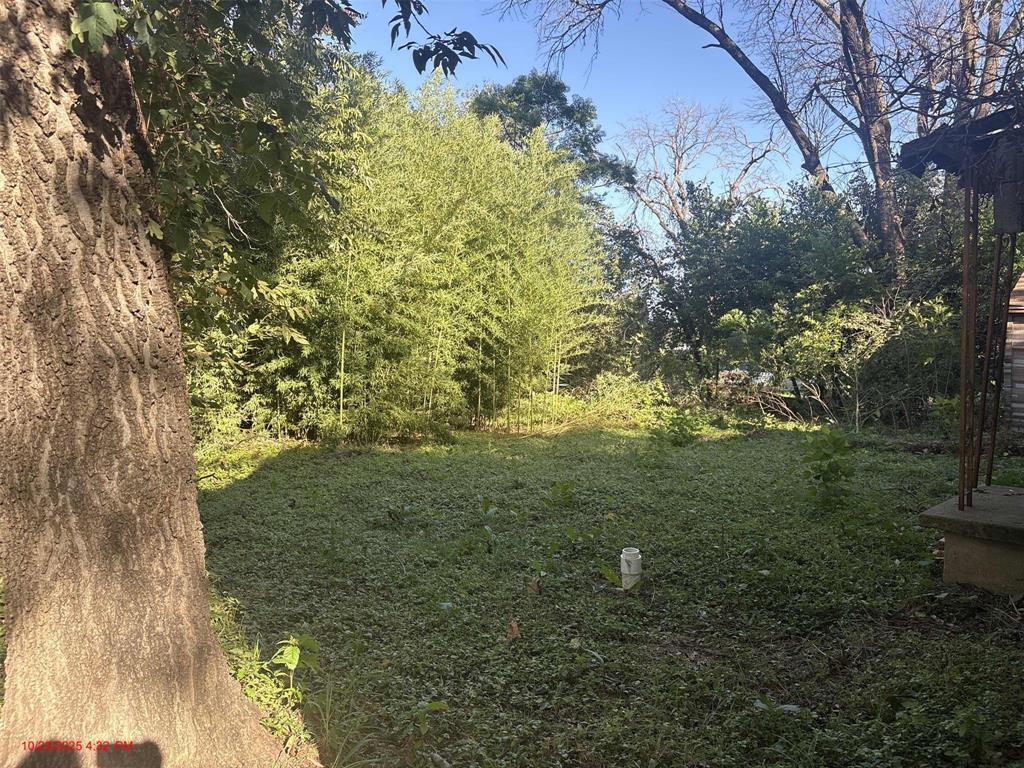 915 Turner Street Property Photo 5