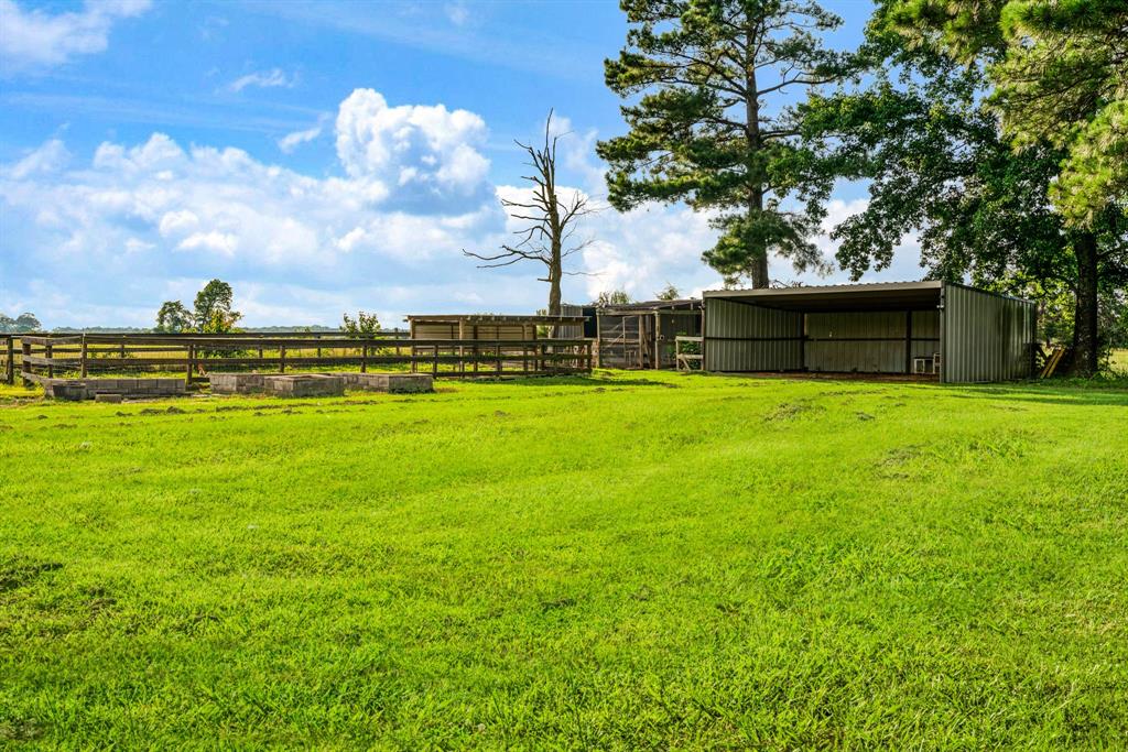 13944 Farm Road 195 Property Photo 22