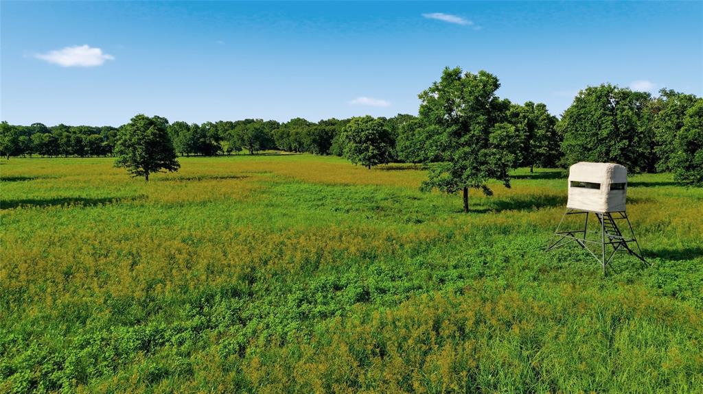 500 County Road 1300 Property Photo 4