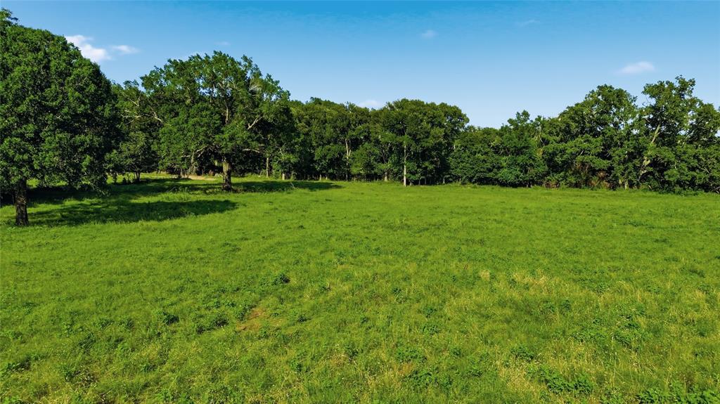500 County Road 1300 Property Photo 6