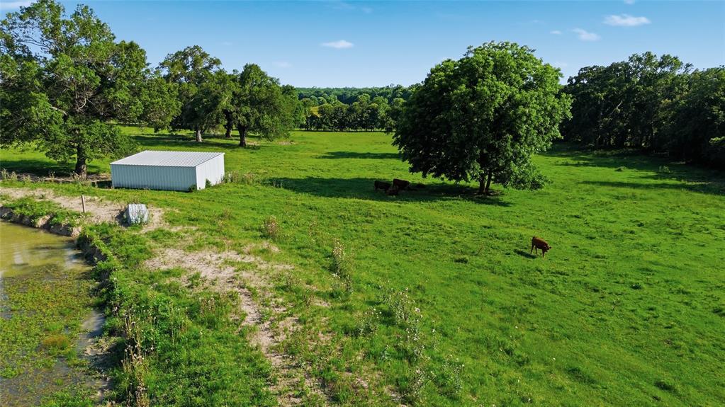 500 County Road 1300 Property Photo 19