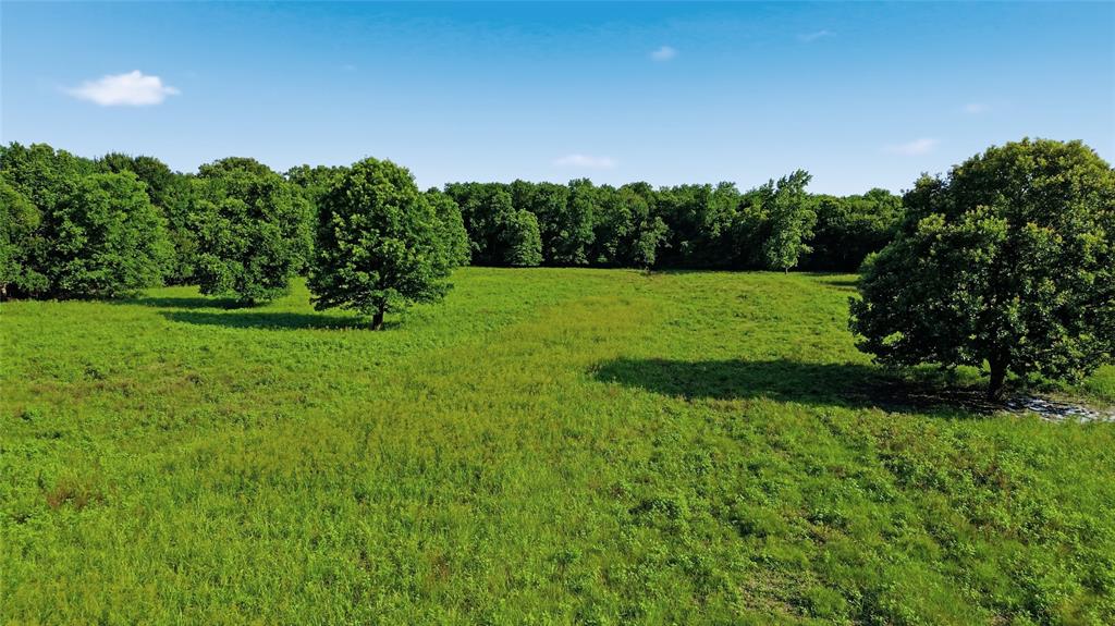 500 County Road 1300 Property Photo 33