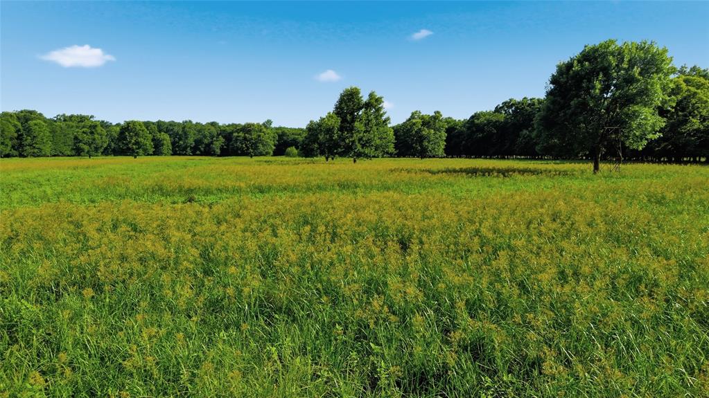 500 County Road 1300 Property Photo 34