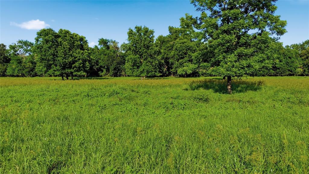 500 County Road 1300 Property Photo 35