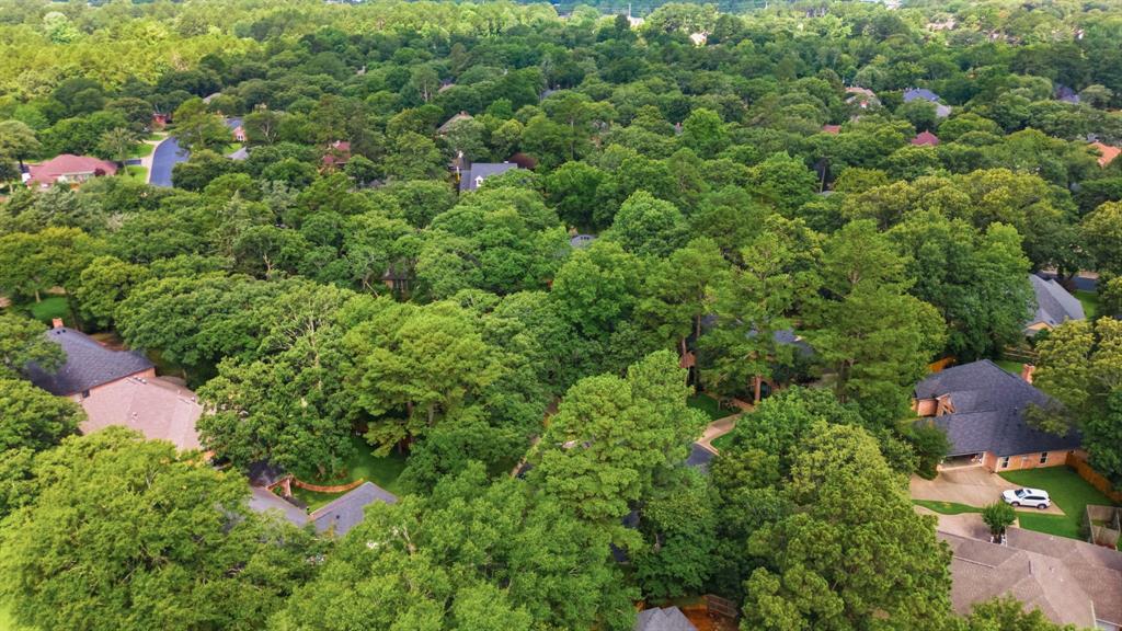 4117 Hollow Oak Circle Property Photo 22