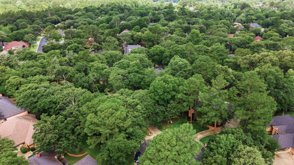 4117 Hollow Oak Circle Property Photo 23