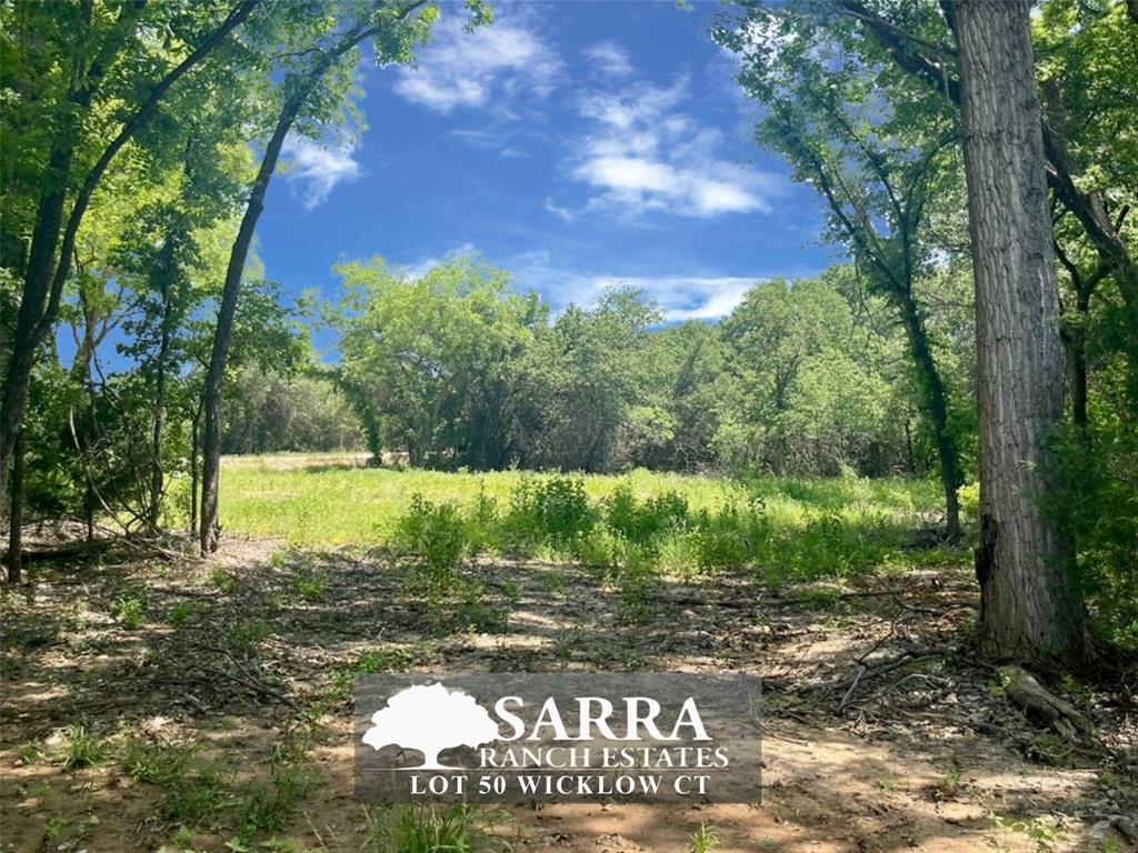 Lot 50 Wicklow Court Property Photo 1