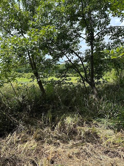 0000 Cr-3401 Property Photo 10