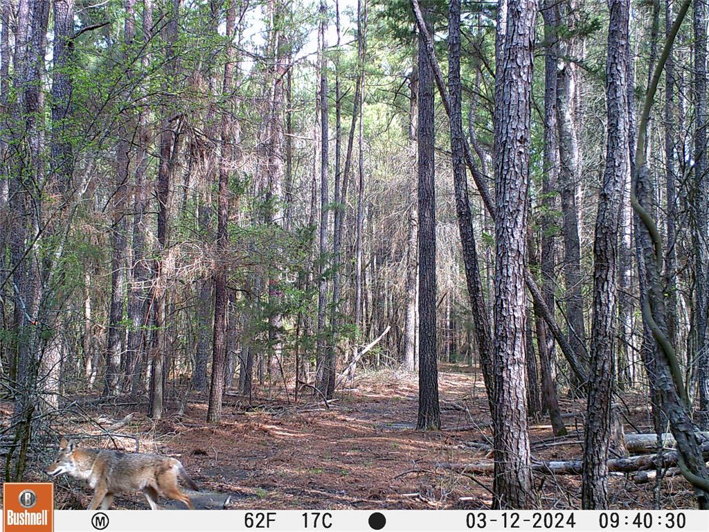0000 Cr-3401 Property Photo 11