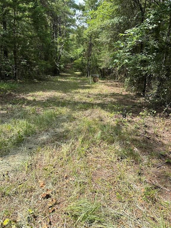 0000 Cr-3401 Property Photo 12