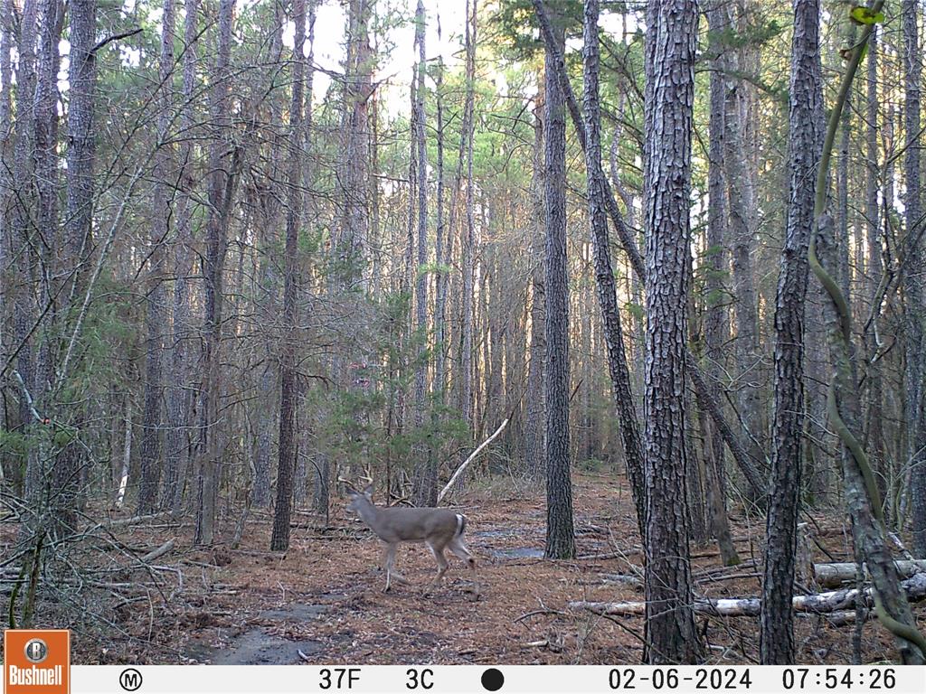 0000 Cr-3401 Property Photo 13
