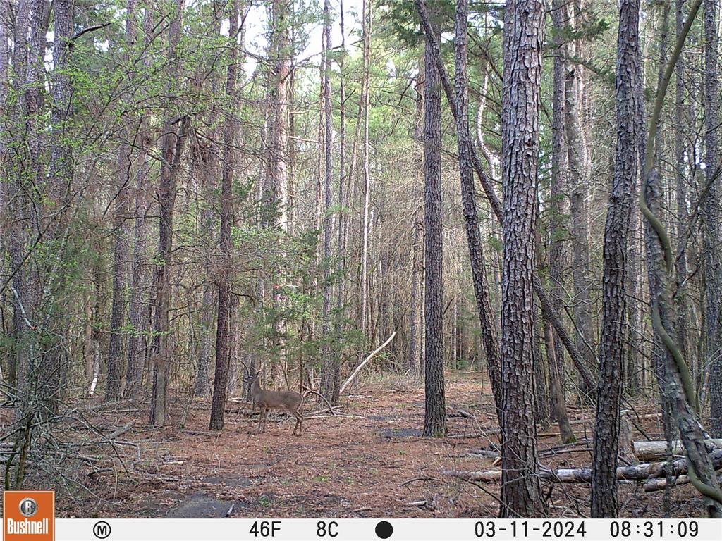 0000 Cr-3401 Property Photo 14