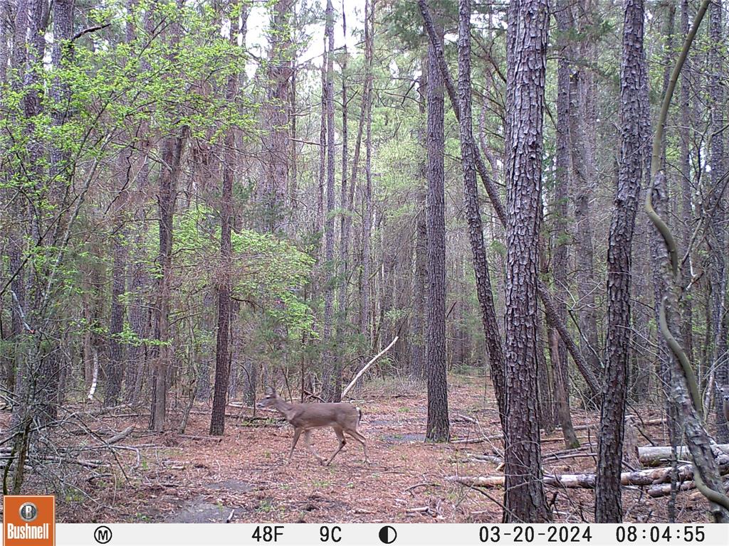 0000 Cr-3401 Property Photo 15