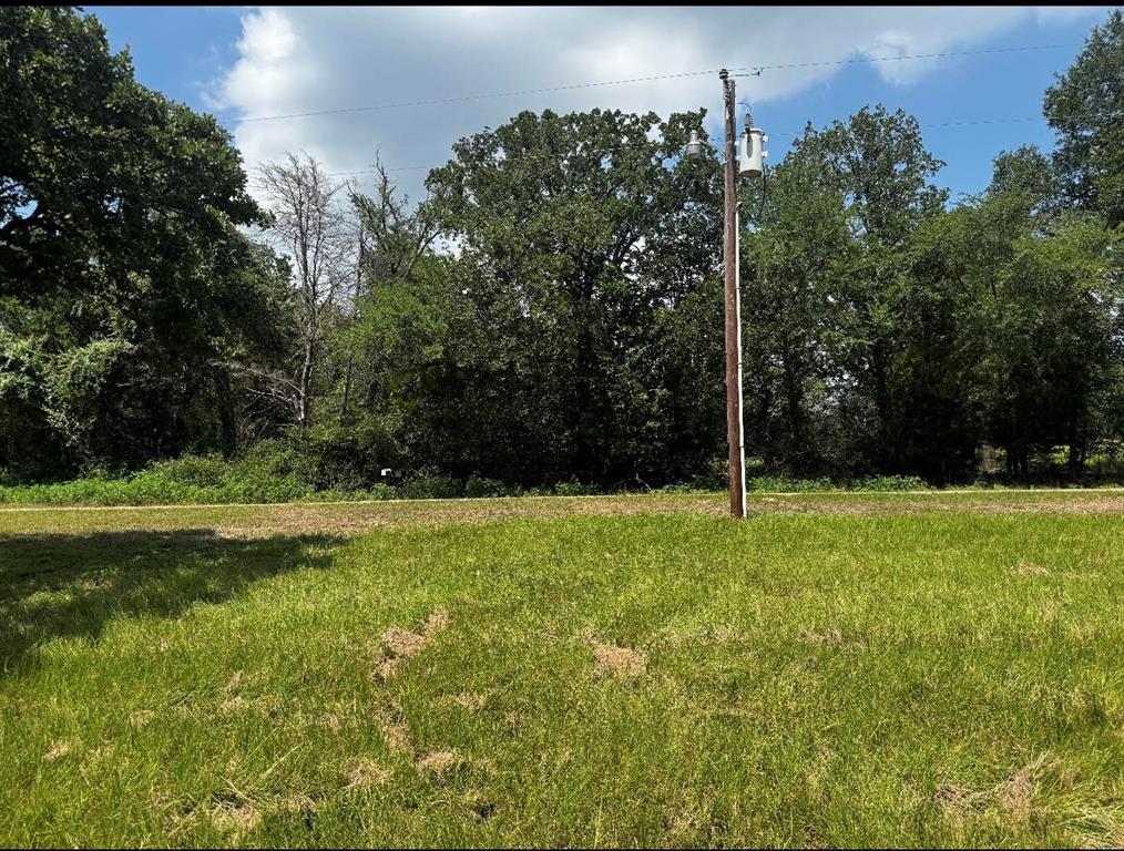 283 County Road 269 Property Photo 3