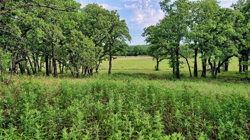 978 Longbranch Road Property Photo 3