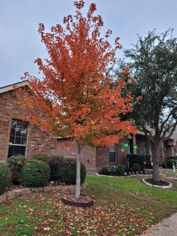 2121 Colby Lane Property Photo 18