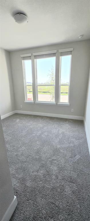 3010 Eleanor Drive Property Photo 21