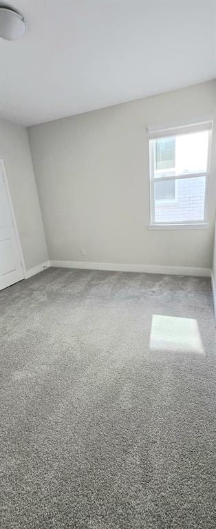 3010 Eleanor Drive Property Photo 25