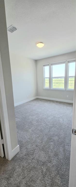 3010 Eleanor Drive Property Photo 27