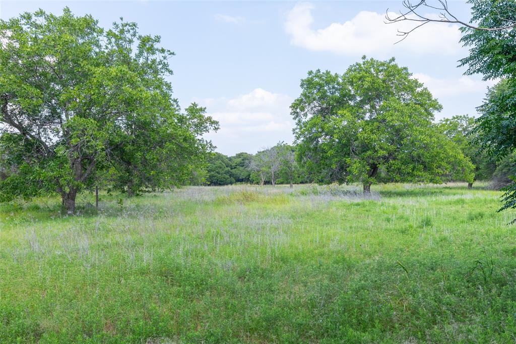 7852 Fm 603 Property Photo 30