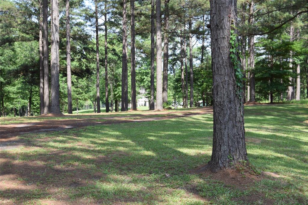 776 Methodist Camp Road Property Photo 8