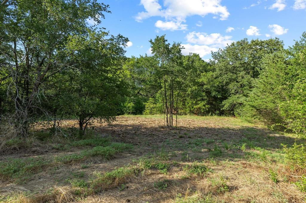 Tbd N Pecan St/u.s. Highway 69 Property Photo 2