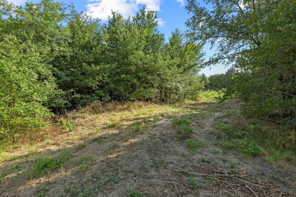 Tbd N Pecan St/u.s. Highway 69 Property Photo 3