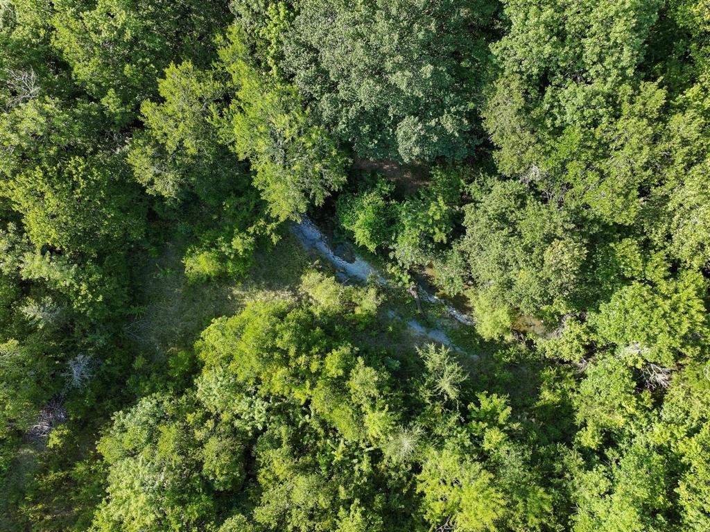 Tbd N Pecan St/u.s. Highway 69 Property Photo 6