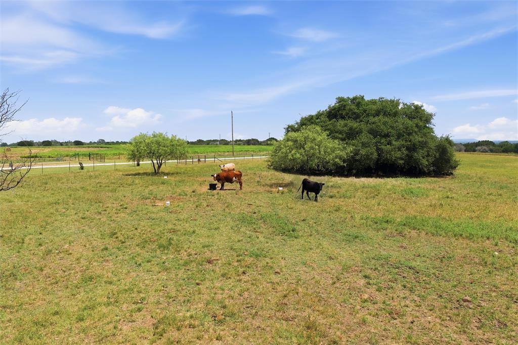 5835 N Fm 1744 Property Photo 7