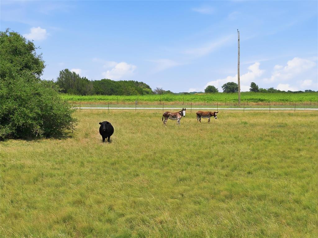 5835 N Fm 1744 Property Photo 19