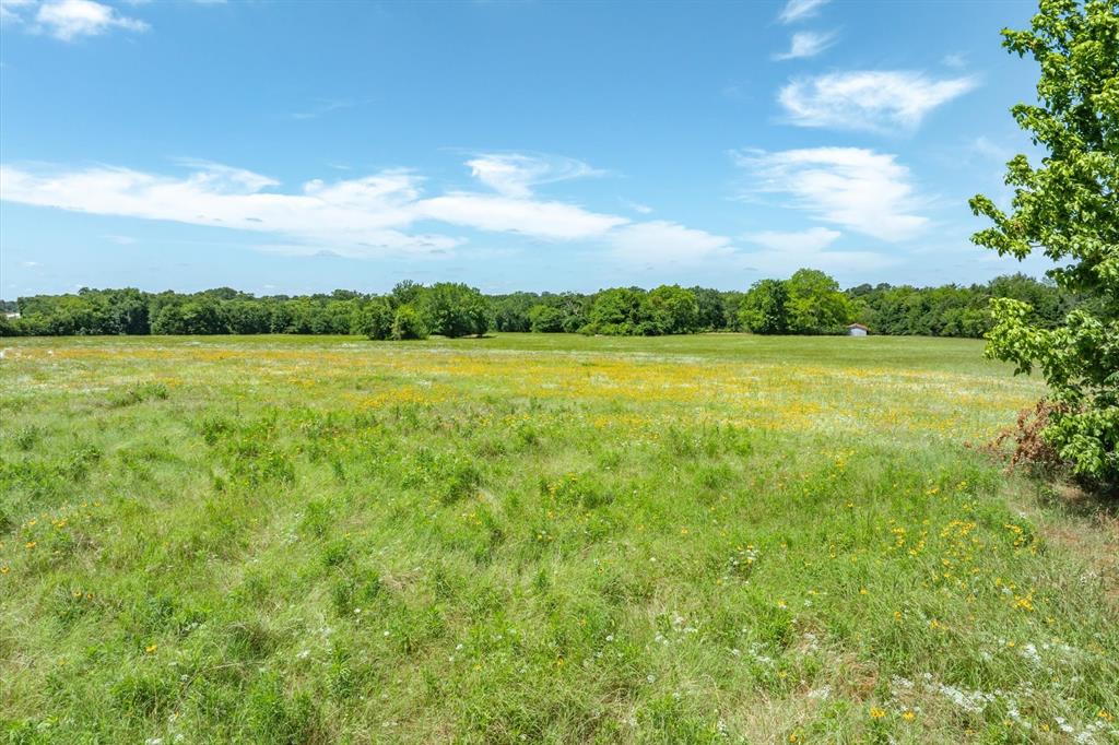 Lot 1 State Hwy 19 & Rs Cr 1150 Property Photo 13
