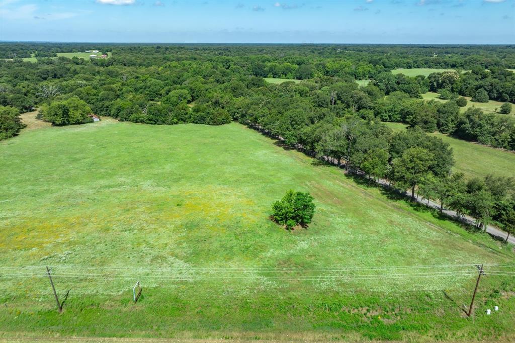 Lot 1 State Hwy 19 & Rs Cr 1150 Property Photo 14