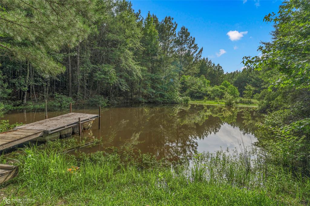 126 Oscar Kilpatrick Road Property Photo 3