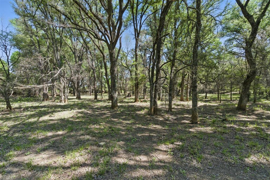 1359 Cr 195 Property Photo 37