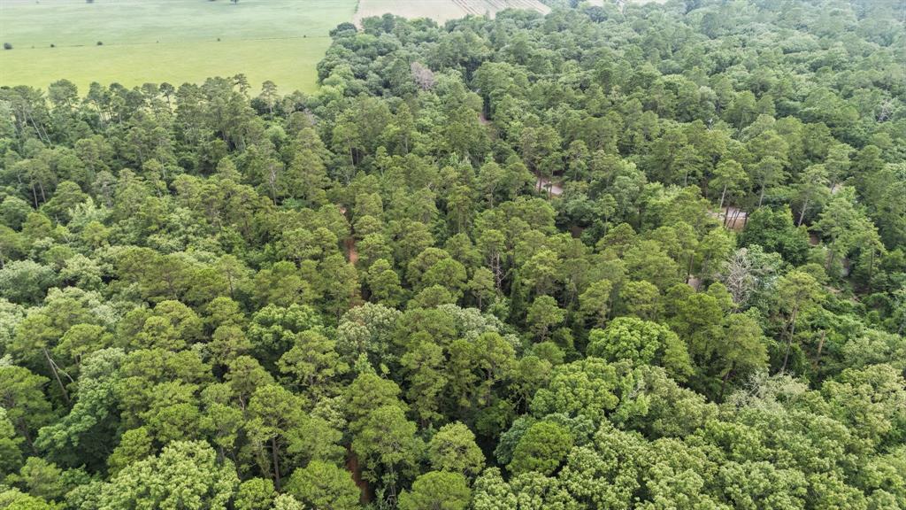 Tbd Valleywood Cove Property Photo 26