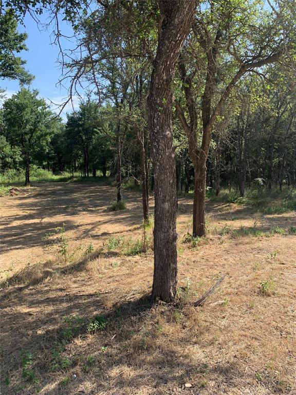 2 Lots Cimmarron Trail Property Photo 3