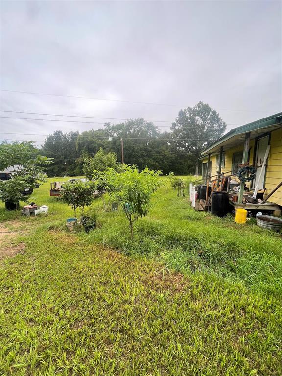 430 County Road 1419 Property Photo 7