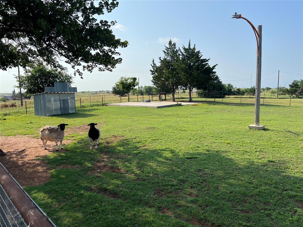 12165 Fm 103 Property Photo 27