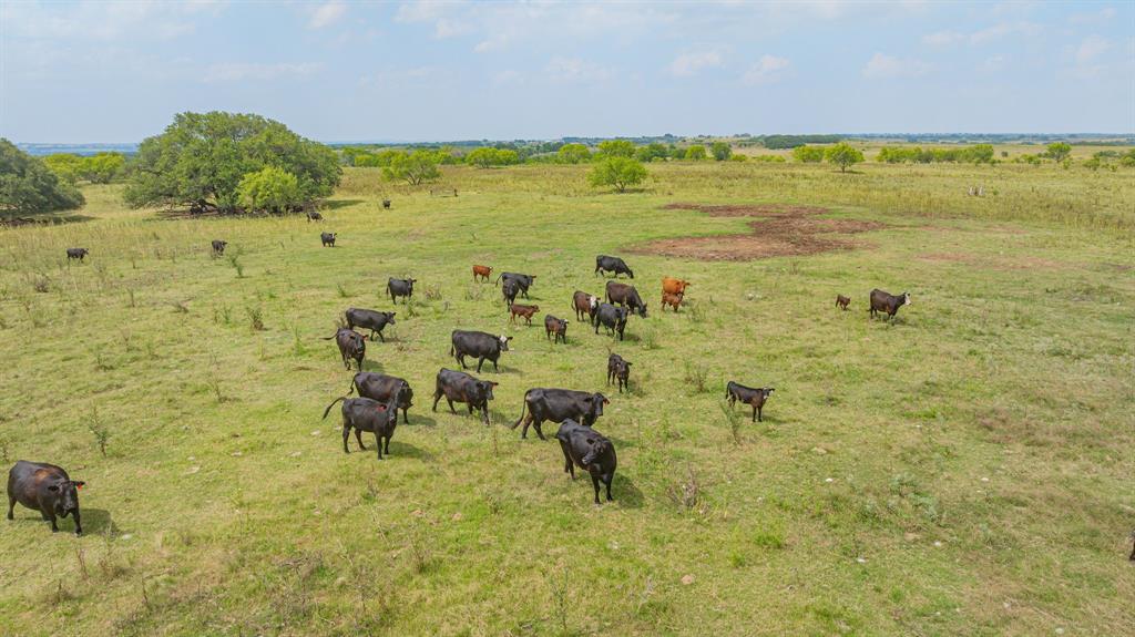 2901 Fm 1476 Property Photo 4