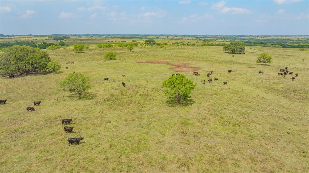 2901 Fm 1476 Property Photo 36