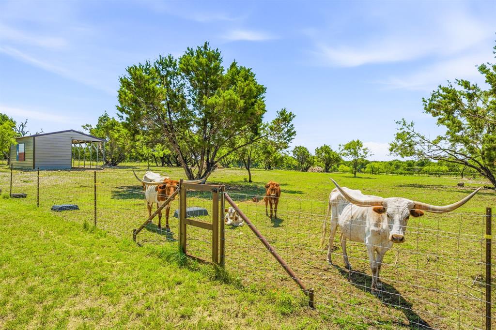 1271 Private 2120 Road Property Photo 29