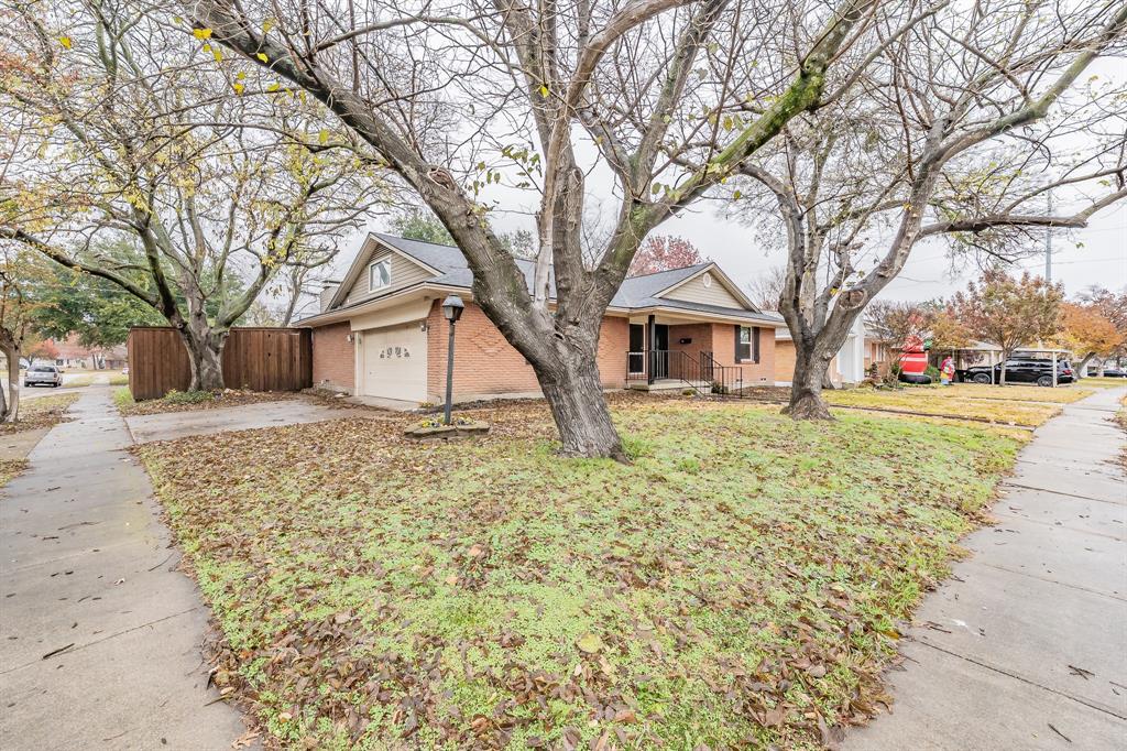 4518 Live Oak Drive Property Photo 3