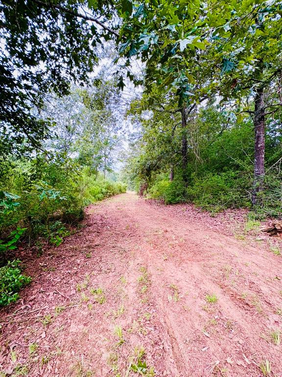 4246 County Road 4789 Property Photo 5