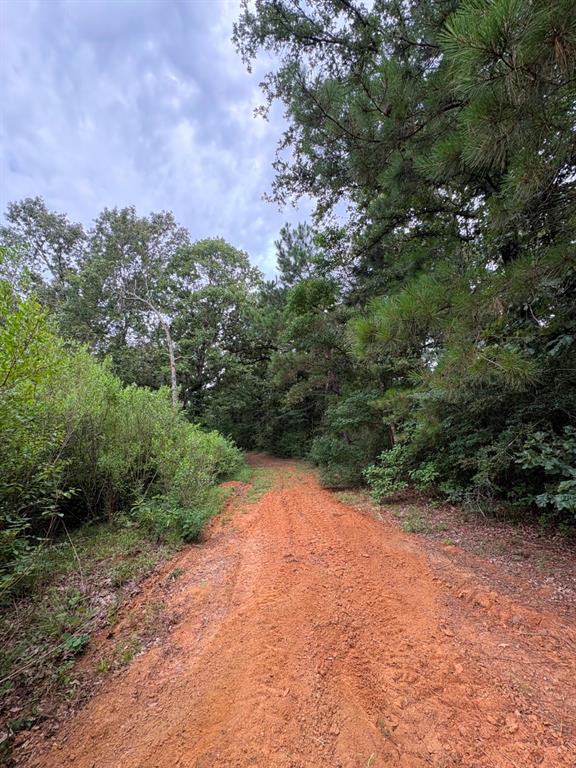 4246 County Road 4789 Property Photo 6