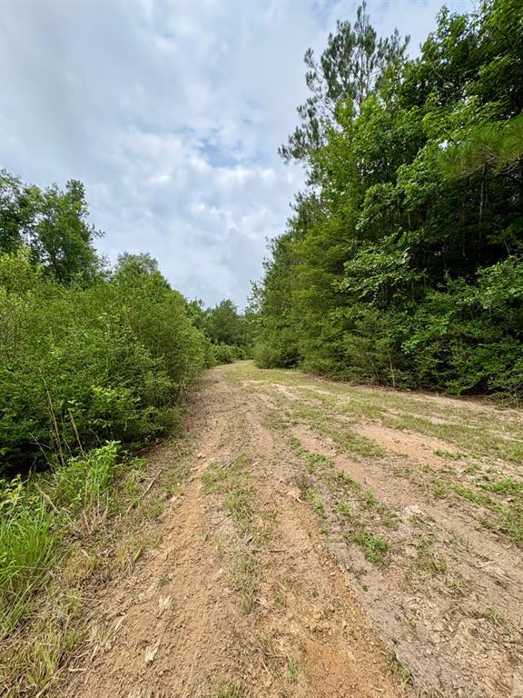 4246 County Road 4789 Property Photo 7