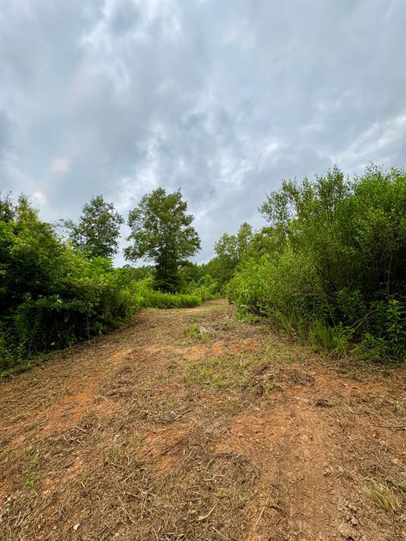 4246 County Road 4789 Property Photo 16
