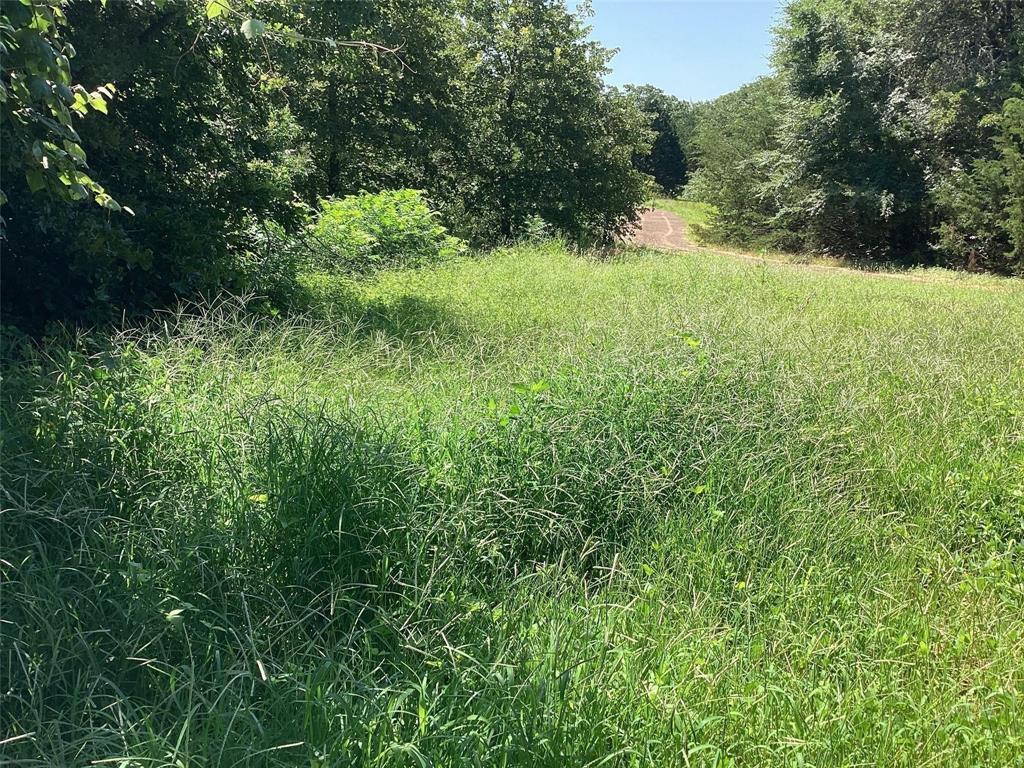 Tbd Ledbetter Lane Property Photo 2