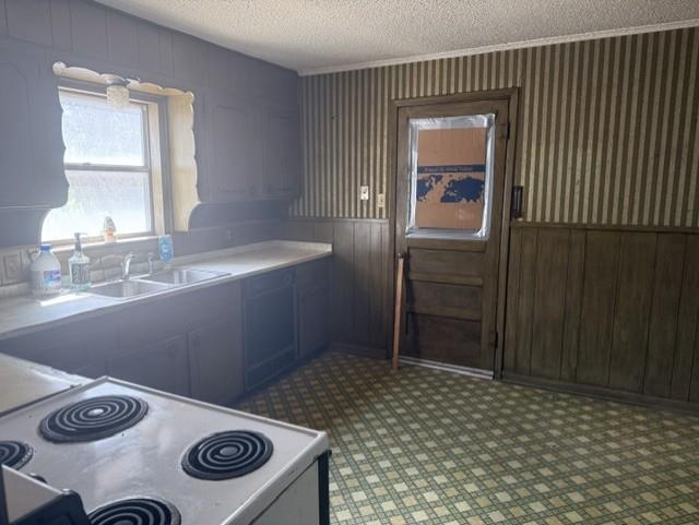 2736 County Road 314 Property Photo 14
