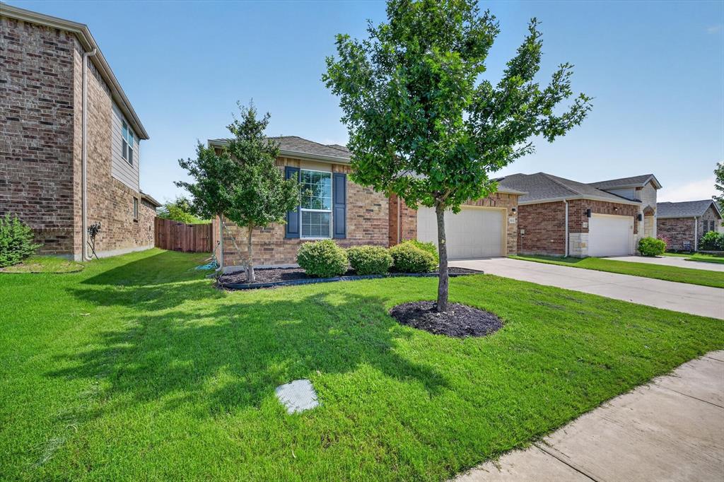 3113 Adrian Creek Drive Property Photo 3